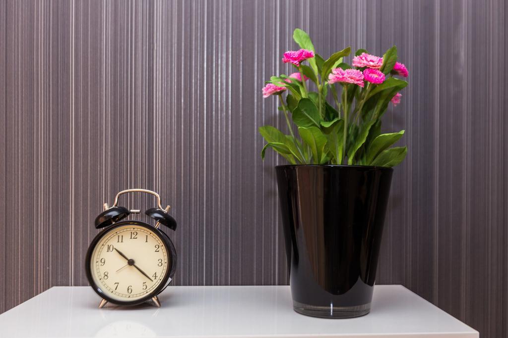 Apartments Elizabeth Biograd Na Moru Phòng bức ảnh